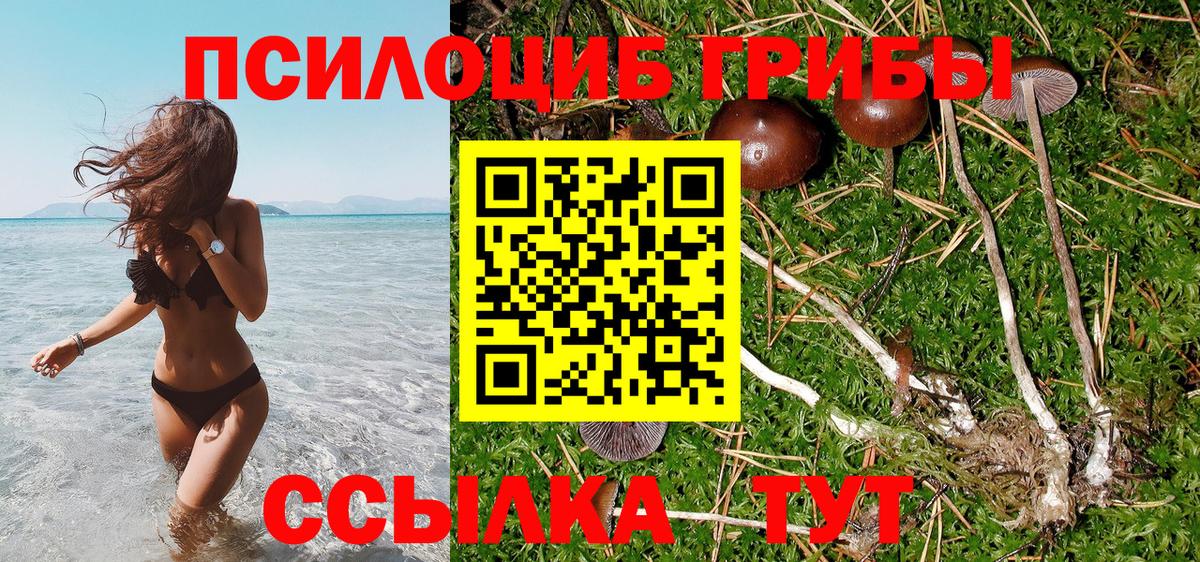 Галлюциногенные грибы мицелий  Галлюциногенные грибы мицелий  Муравленко  Вход с VPN 